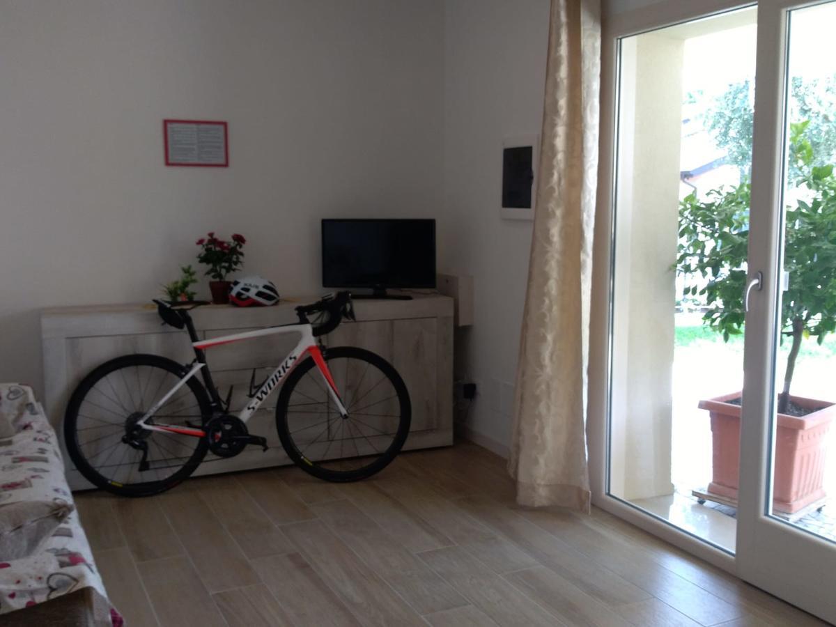 Apartment Conte บอร์โซ เดล กราปปา ภายนอก รูปภาพ